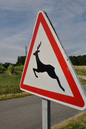 road sign indicating the passage of wild animals in Franceの写真素材