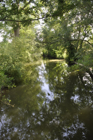 the Seugne in Jonzacの写真素材
