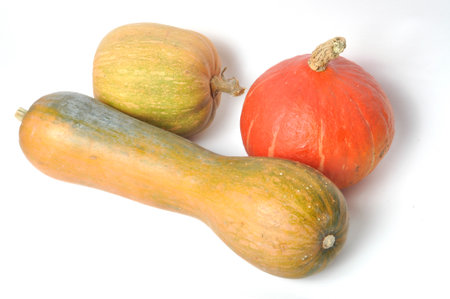 Squash on a white backgroundの写真素材
