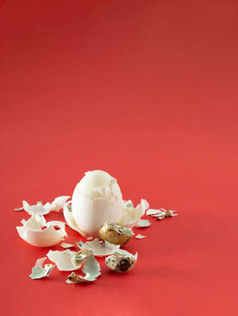 Peeled egg with broken shell and copy space isolated on red background. Minimal Easter concept.の写真素材