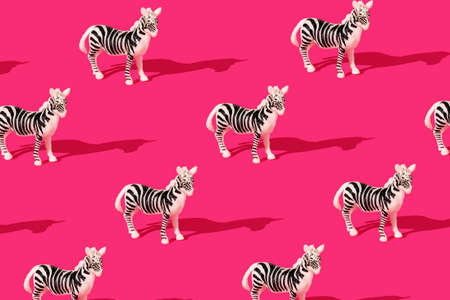 Creative pattern. Minimal concept made of zebra on magenta background. Black-and-white stripe.の写真素材