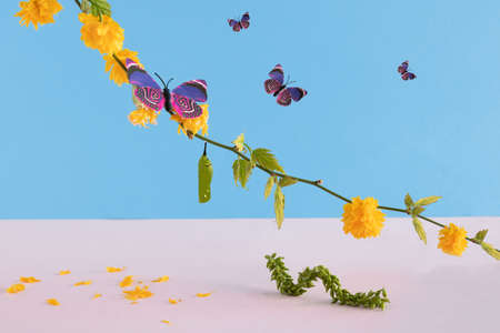 Colorful butterfly and green caterpillar. Orange color flower on the branch of a tree. Creative...