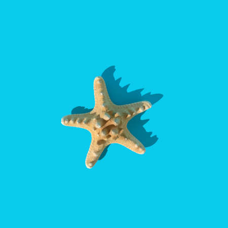 Starfish on a blue background. Summer creative minimal concept. Tropical vibes. Top view. Lay out.の写真素材