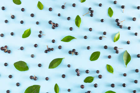 Aronia and green leaves on a blue background. Creative berry fruit concept. Summer composition.