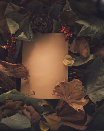 Creative autumn layout made of brown book and leaves with conifer cones, red and yellow berries....