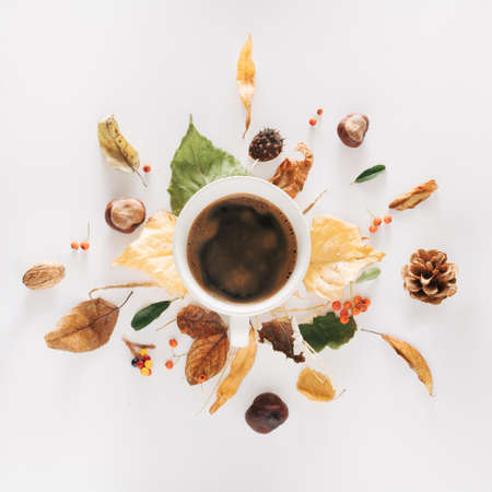 Autumn layout on a white background. Creative natural composition of yellow, green, brown leaves, chestnuts, berries, cone, walnuts. Black strong coffee in a white cup. Top view. Flat lay.の写真素材