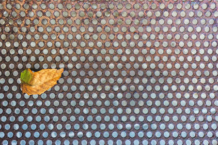 Metal texture with holes and old leaf. A speaker grille. Abstract geometric shape.の写真素材