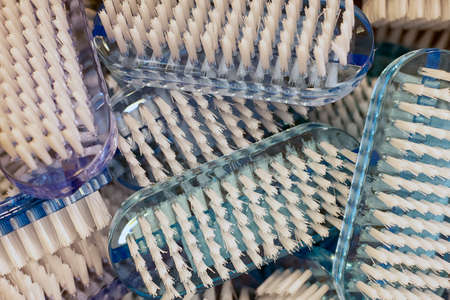 Mix of small colorful fetlocks close-up.の写真素材