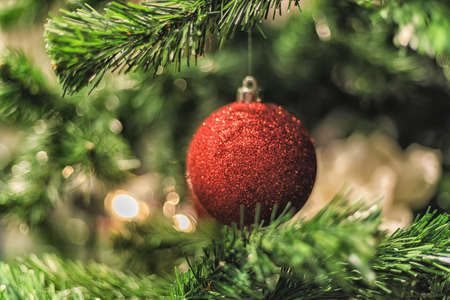Christmas decorated red shining ball on the christmas treeの写真素材