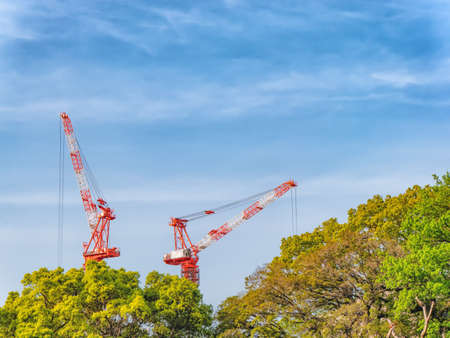 Garden park road with skyscrapers view on path in Imperial palace during spring day in downtown with people and construction cranesの写真素材