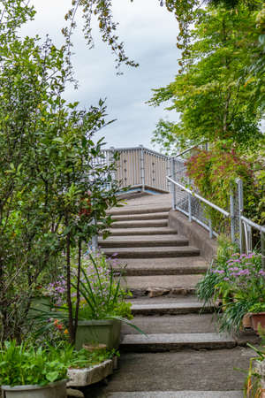 Picture of stairs in the park leading to the cloudy sky with rainy clouds at the background