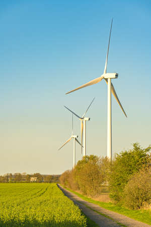Wind turbines on the beautiful autumn meadow.の写真素材