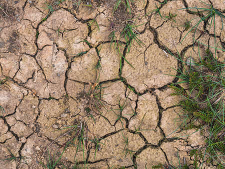 Image of Dry cracked earth background, clay desert textureの写真素材