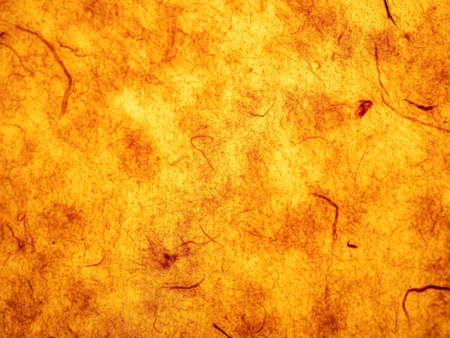 Close up of orange leather texture background. photo design with copy space for multi purpose useの写真素材