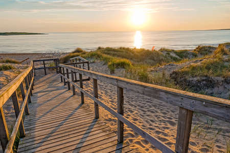 Image of Wooden path at Baltic sea over sand dunes with ocean view, sunset summer eveningの写真素材