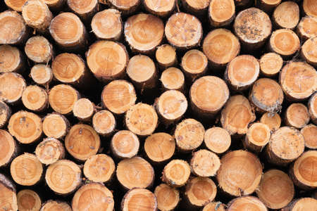 Background image of dry chopped firewood logs stacked up on top of each other in a pileの写真素材