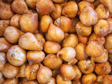 Picture of yellow onion bulbs texture in the basketの写真素材