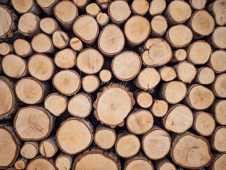 Image of Pile of wood logs ready for winterの写真素材