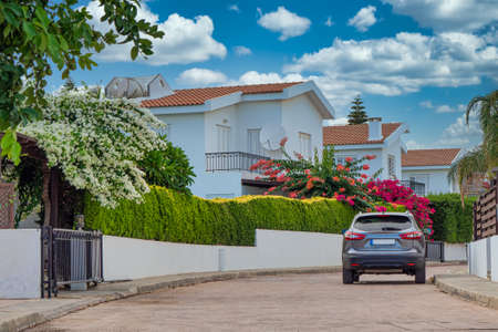 Image of Street view with white houses, green bushes and blue sky in Cyprusの写真素材