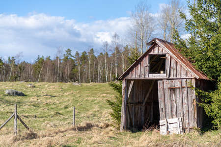 Old wooden abandoned barn in the forestの写真素材
