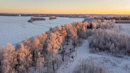 Drone view of a winter snow-covered pine forest and frozen lakeの写真素材