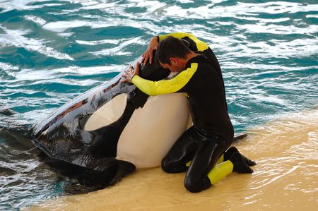 Man is hugging a very big killer whaleの写真素材