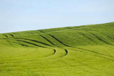 Green field and hill