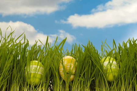 Painted easter eggs in green grass with a blue and cloudy sky.