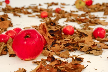 Red apples and old leafs. Studio shot.の写真素材