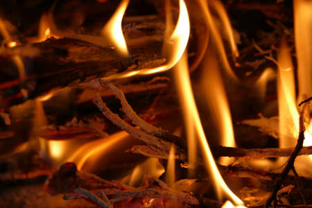 Close up burning firewood