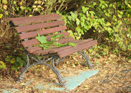 Autumn landscape - fallen autumn leaves on a lonely wooden bench in the depths of the old Park.の写真素材