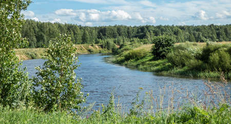 Quiet summer river with low banks overgrown with bushes and high juicy grass on a Sunny day.