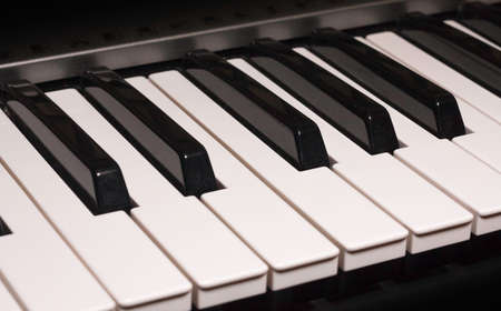 Black and white piano keys. An octave of a keyboard musical instrument. Close up.の写真素材