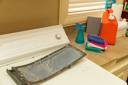 Dirty lint screen from clothes dryerの写真素材