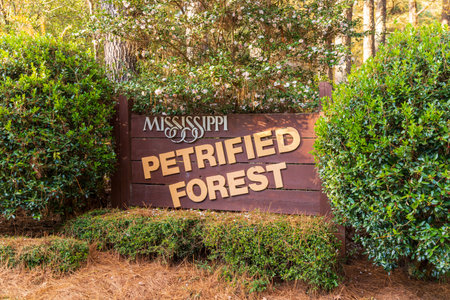 Flora, MS / USA - November 24, 2020: Mississippi Petrified Forest Entrance sign