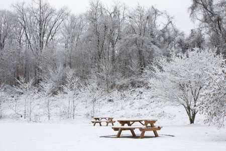 Two park benches covered in snow at park with treesの写真素材