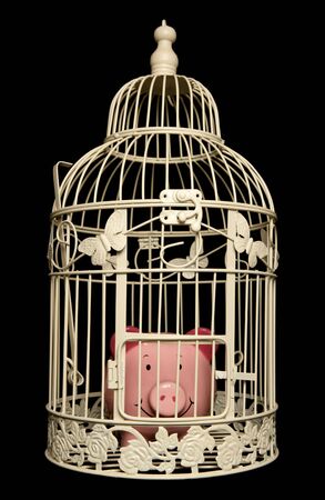 Piggy bank trapped in a bird cage isolated on black backgroundの写真素材