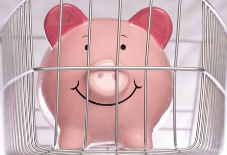piggy bank behind cage in studioの写真素材