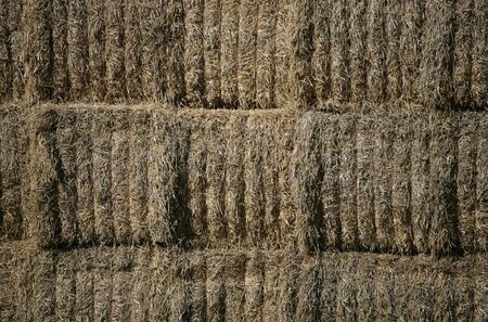 Hay bale abstract texture backgroundの写真素材