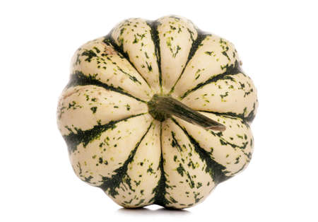 Harlequin Squash on a white backgroundの写真素材
