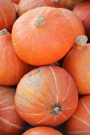 onion squash in a pile