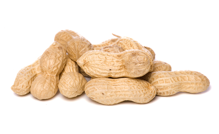 pile of momkey nuts studio cutoutの写真素材