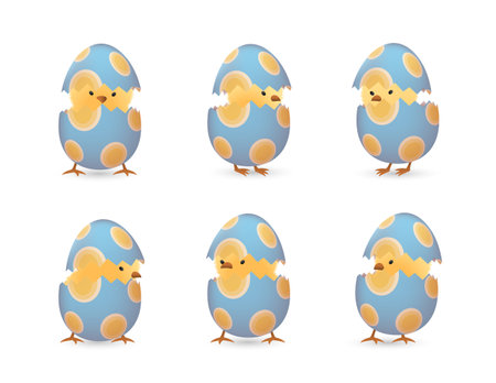 Chicks in broken Easter eggs with ovals setのイラスト素材