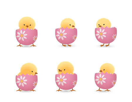 Chicks in lower part of broken Easter eggs with flowers setのイラスト素材