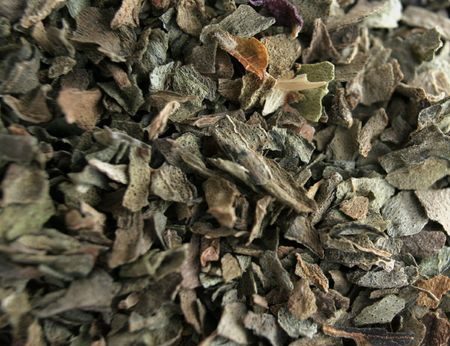 A macro shot of basil leaves.の写真素材