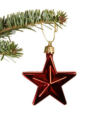 An isolated red christmas star ornament hanging from a spruce branch.の写真素材
