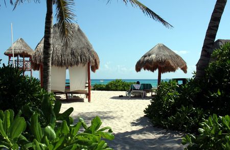 A tropical beach featuring palm trees and huts.の写真素材