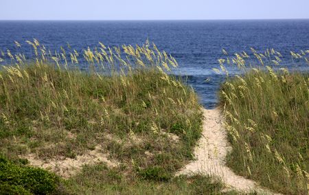 A path to the beach on the Outer Banks, North Carolina, USA.の写真素材
