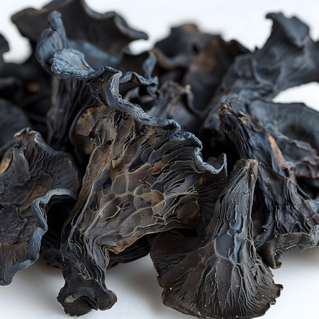 Dried black fungus on a white background. Close-up.の素材