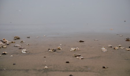 beachの写真素材